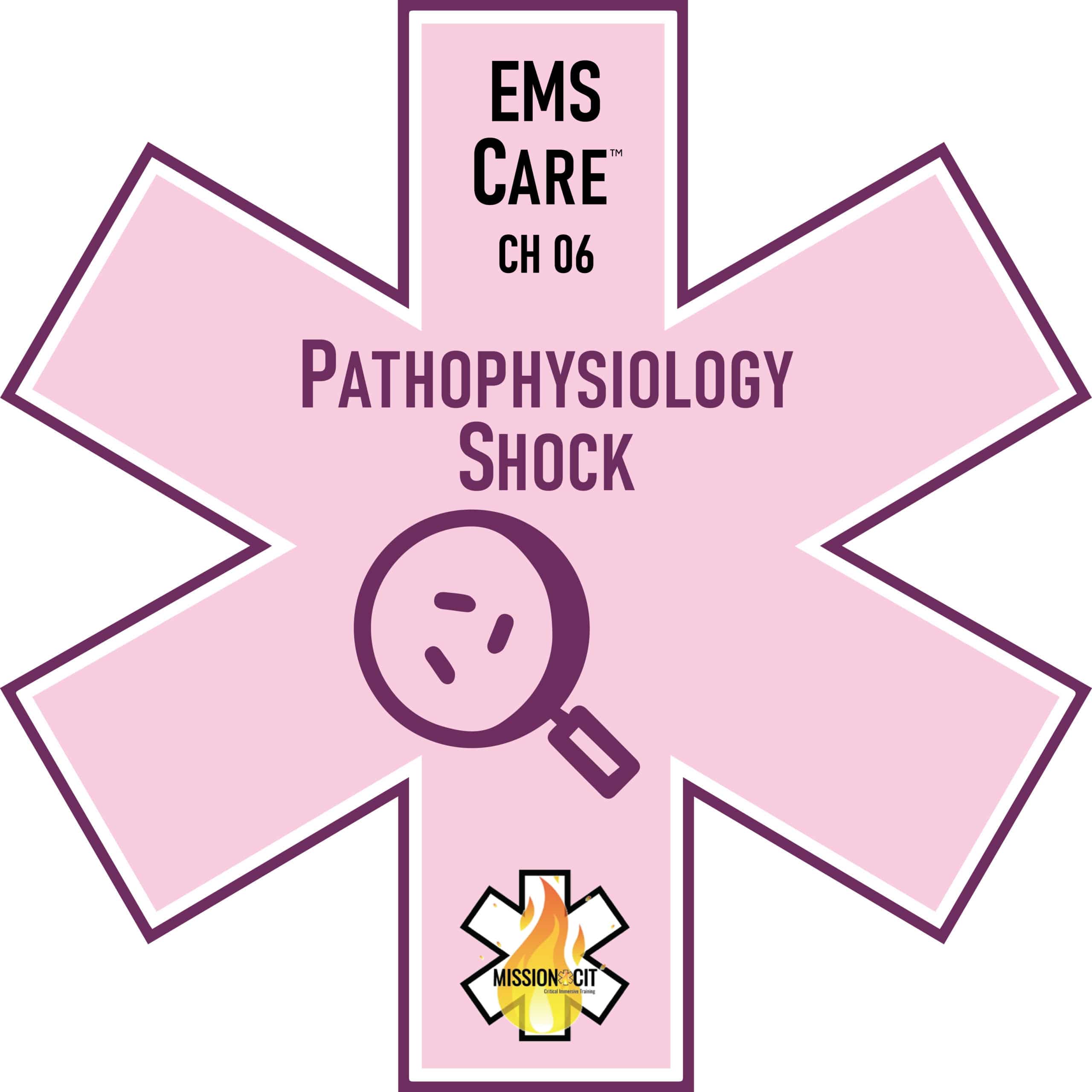 EMS Care Chapter 06 | Understanding Pathophysiology | Shock