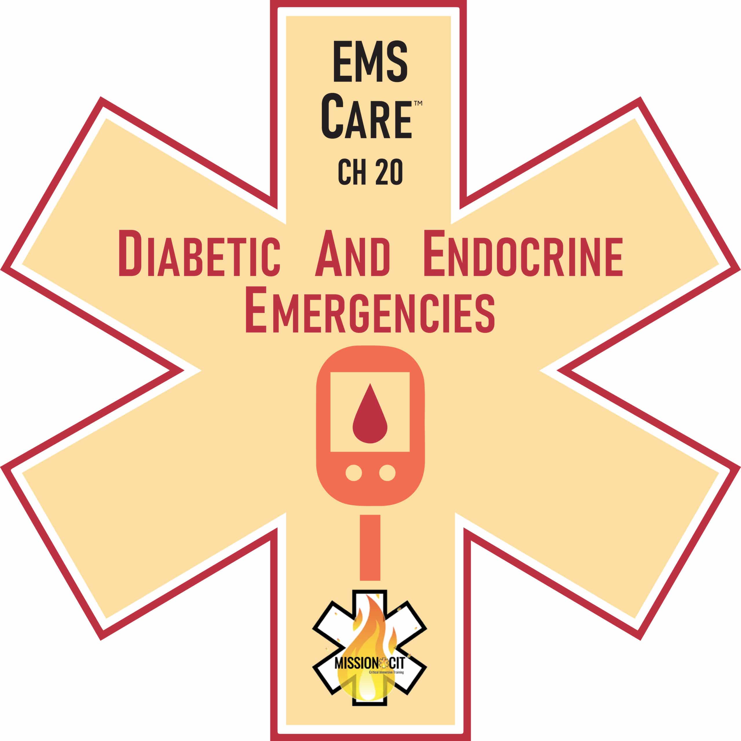 EMS Care Chapter 20 | Diabetic and Endocrine Emergencies
