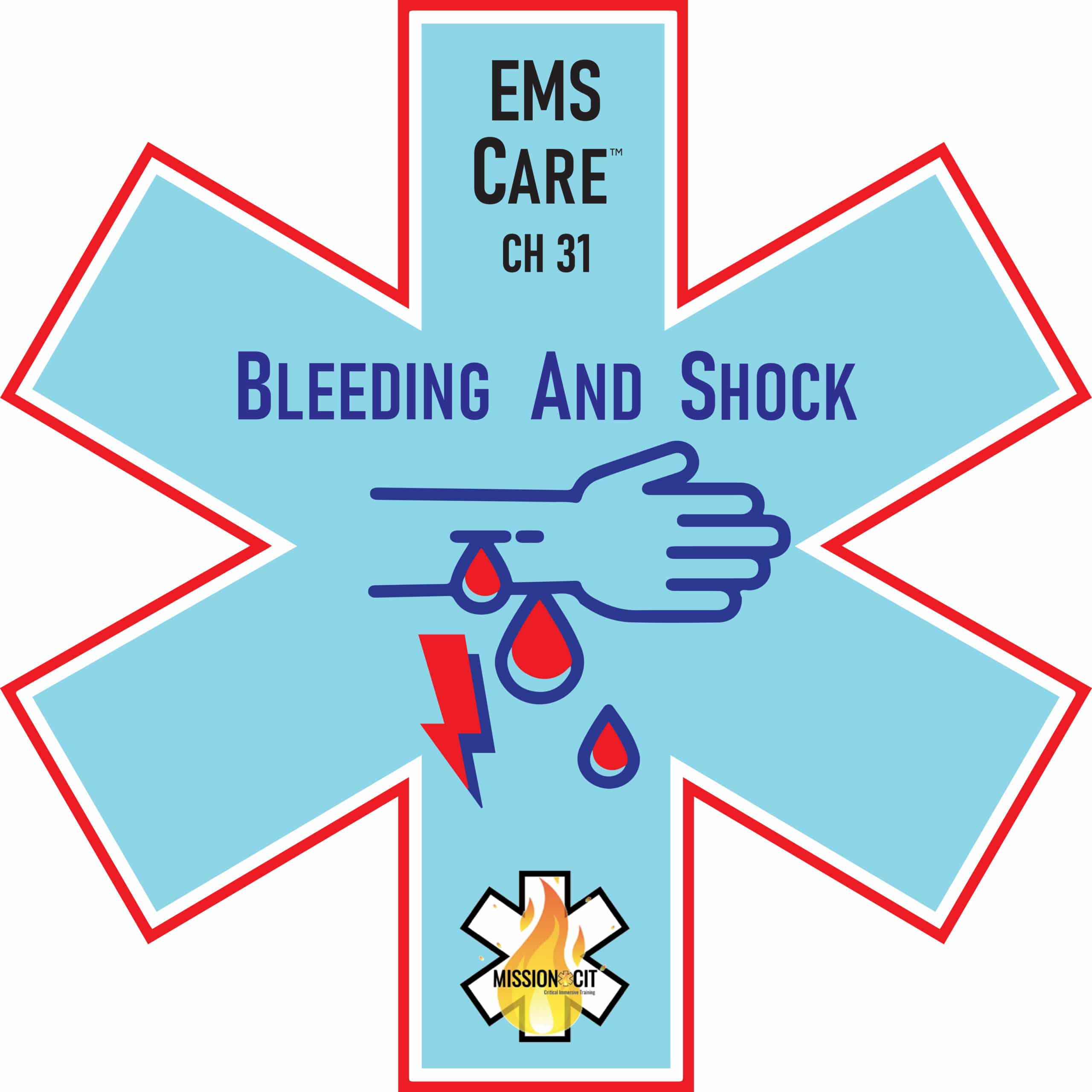 EMS Care Chapter 31 | Bleeding and Shock