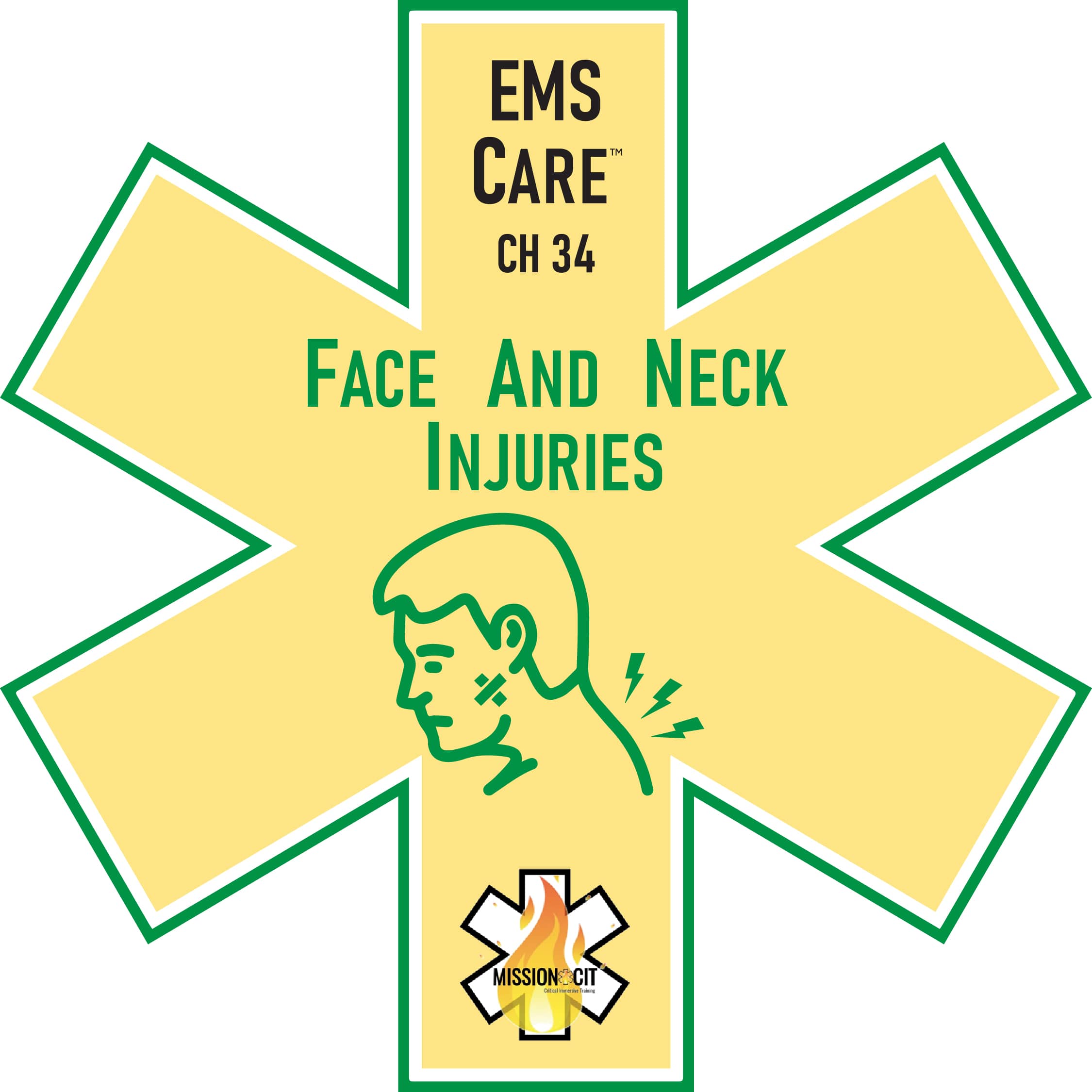 EMS Care Chapter 34 | Face and Neck Injuries