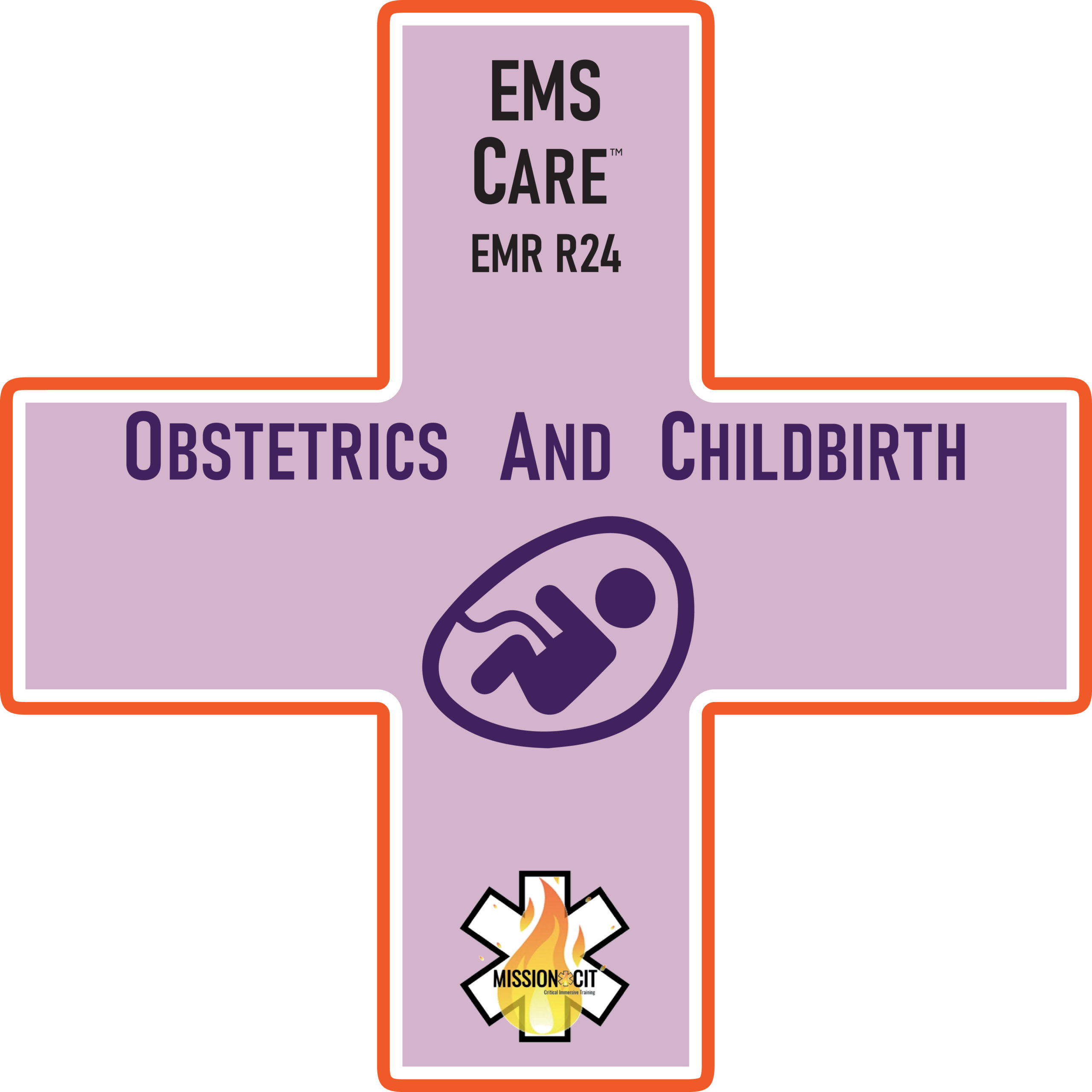 EMR Initial | EMS Care Ch EMR- E24 | Obstetrics and Childbirth