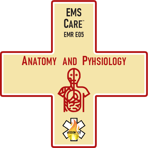 EMR Initial | EMS Care Ch EMR- E05 | Anatomy and Physiology