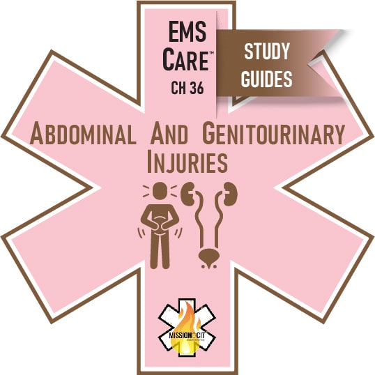 EMS Care Chapter 36 | Abdominal and Genitourinary Injuries | Study Guide