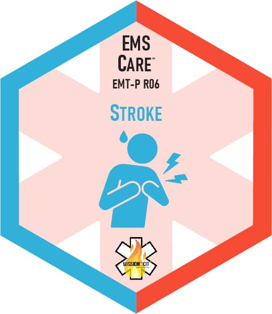 Paramedic Recert EMS Care | 23-MCIT-F3-4106 | Stroke