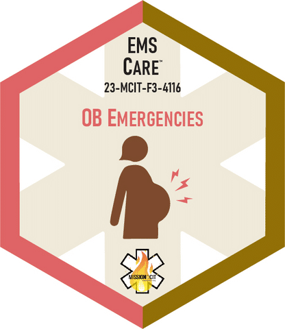 Paramedic Recert EMS Care | 23-MCIT-F3-4116 | OB Emergencies