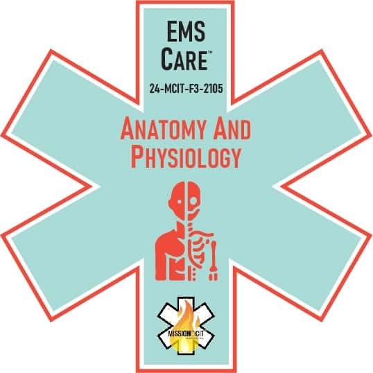 EMS Care EMT Chapter 24-MCIT-F3-2105 | Anatomy and Physiology